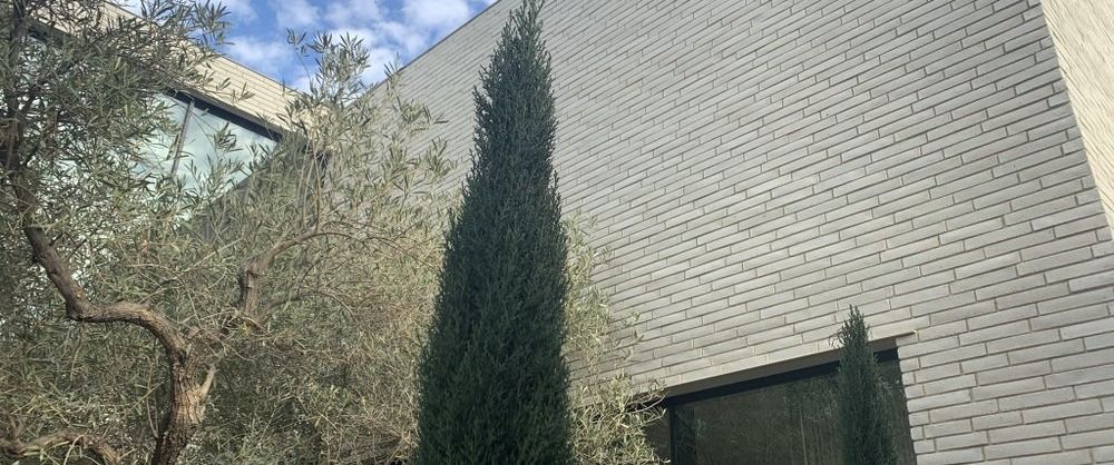 Santa Monica remodel — grey-brick elevation with olive and cypress, as built